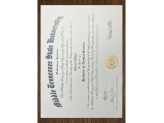 Why I'm interested in aMiddle Tennessee State University diploma online?