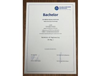 How to wittily forge a Wilhelm Büchner Hochschule degree? 