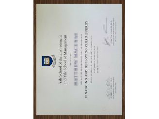 How to change Yale School of the Environment degree marks?