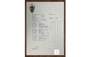 Fast methods to obtain a University of Salford transcript online.