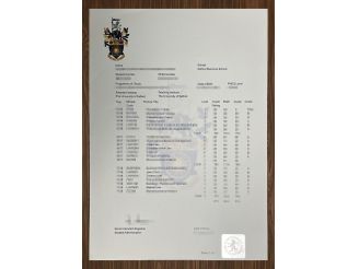 Fast methods to obtain a University of Salford transcript online.