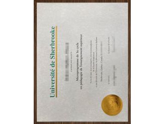 How to make a Université de Sherbrooke degree in amazing quality?  