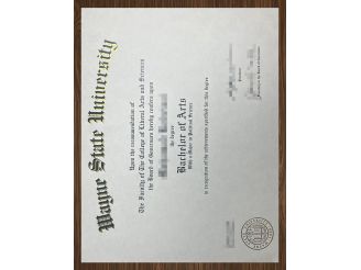 Why are Wayne State University certificate so popular? 