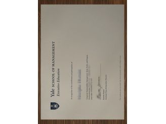 Common ways to get a Yale School of Management degree online.  