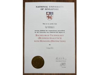 The best place to get your National University of Singapore certificate online.
