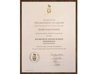 Fun ways to get a University of Guelph degree online.