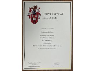 How to make the University of Leicester degree?